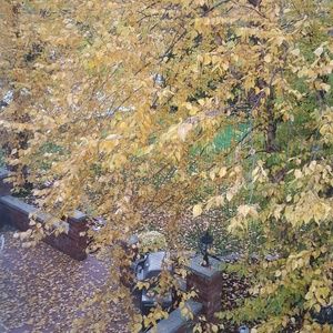 Meet your Posher, Jolanta